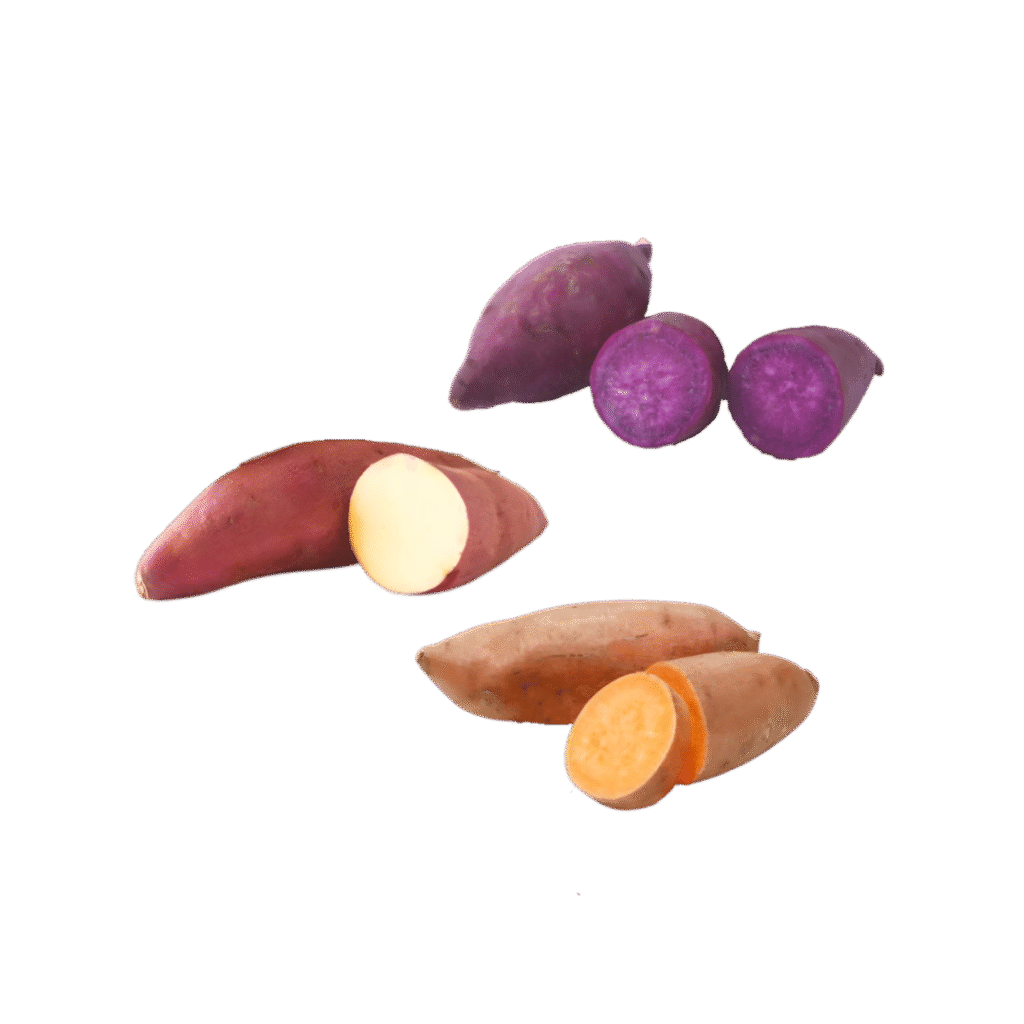 Premium sweet potato products from Indonesia – chips, flour, and fresh roots