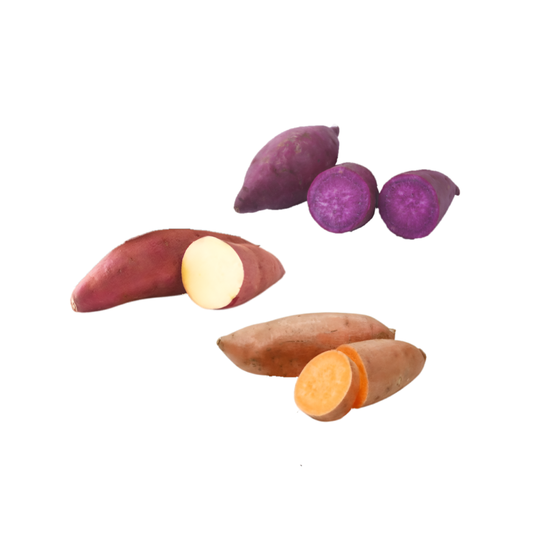 Premium sweet potato products from Indonesia – chips, flour, and fresh roots