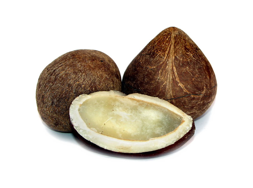 AgriCelebes copra products – edible copra, regular copra, mixed copra, and livestock meal